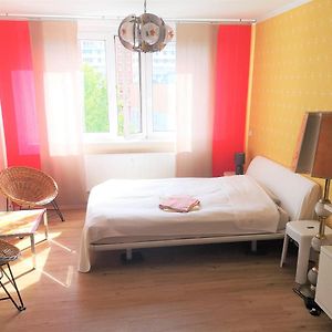 Studio Appartement